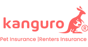 Kanguro portal